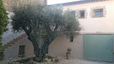 R&eacute;alisation de fa&ccedil;ades imitation pierres &agrave; Roujan dans l'H&eacute;rault